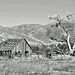 Weldon White Photo 14