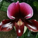 Joyce Clark Photo 27