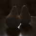 James Harter Photo 32