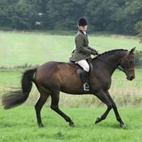 Rachel Sadler Photo 12