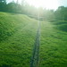 Ray Horvath Photo 8