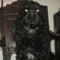 Ellen Blevins Photo 15