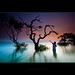 Garry Long Photo 29