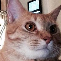 Barbara Muller Photo 22