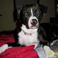 Denise Mccarty Photo 14