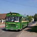 Mary Holbrook Photo 12