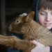 Matthew Lamb Photo 14