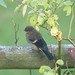 Heather Finch Photo 31