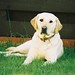 Bonnie Short Photo 32