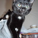 Judy Haynes Photo 10