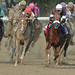 Tracy Whitney Photo 39