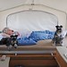 Dianne Camp Photo 16