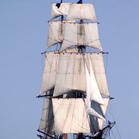 Tim Stephenson Photo 33