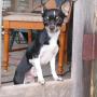 Karen Barnhart Photo 43