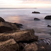 Bryan Lowe Photo 23