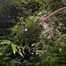 Dawn Wood Photo 31