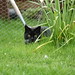 Sherry May Photo 22