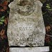 Samuel Craig Photo 6