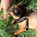 Lucy Cote Photo 21
