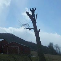 Dustin Reed Photo 17