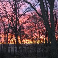 Amy Shumway Photo 8