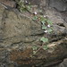 Mark Vines Photo 28