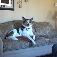 Robert Bruns Photo 29