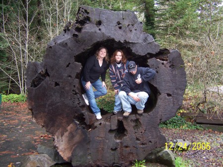 Staci Simmons Photo 19