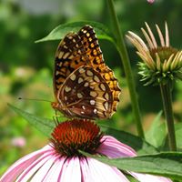 Liz Doering Photo 5