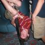 Robert Barry Photo 29