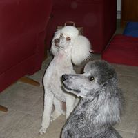 Ann Lindstrom Photo 23