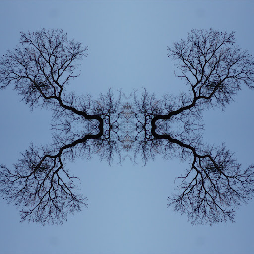 Clay Roberts Photo 14