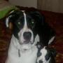 Cheryl Schmidt Photo 45