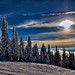 John Mcdevitt Photo 24