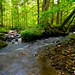 Frederick Owens Photo 18