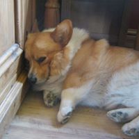 Sue Belcher Photo 11