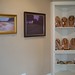Nancy Copeland Photo 14
