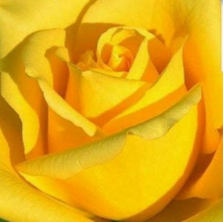 Beth Cooper Photo 26