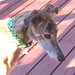 Donna Dunbar Photo 19