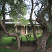 Kimberly Hopper Photo 34
