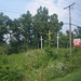 Juanita Cook Photo 39