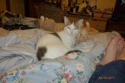 Carolyn Reed Photo 4