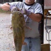 Daniel Goins Photo 31