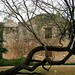 James Crockett Photo 26