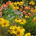 Gertrude Gray Photo 9