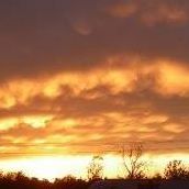 Tom Gribble Photo 2