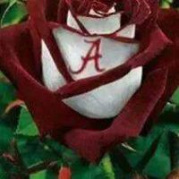Lori Carr Photo 3