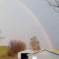 Deborah Slack Photo 8