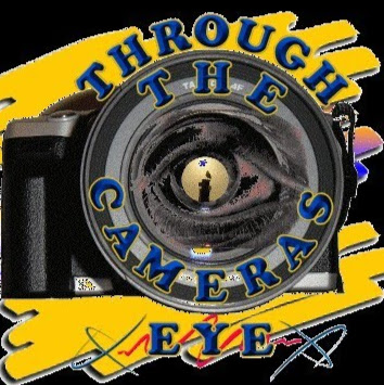Scott Rhodes Photo 38
