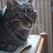 Gina Gatta Photo 4
